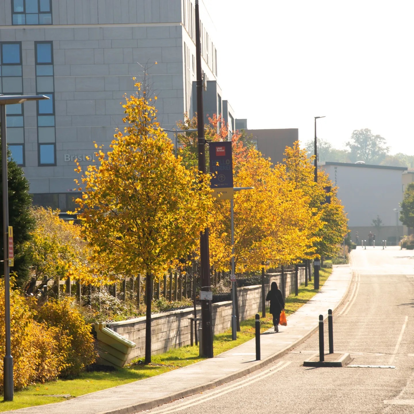 Autumn arrives on campus1