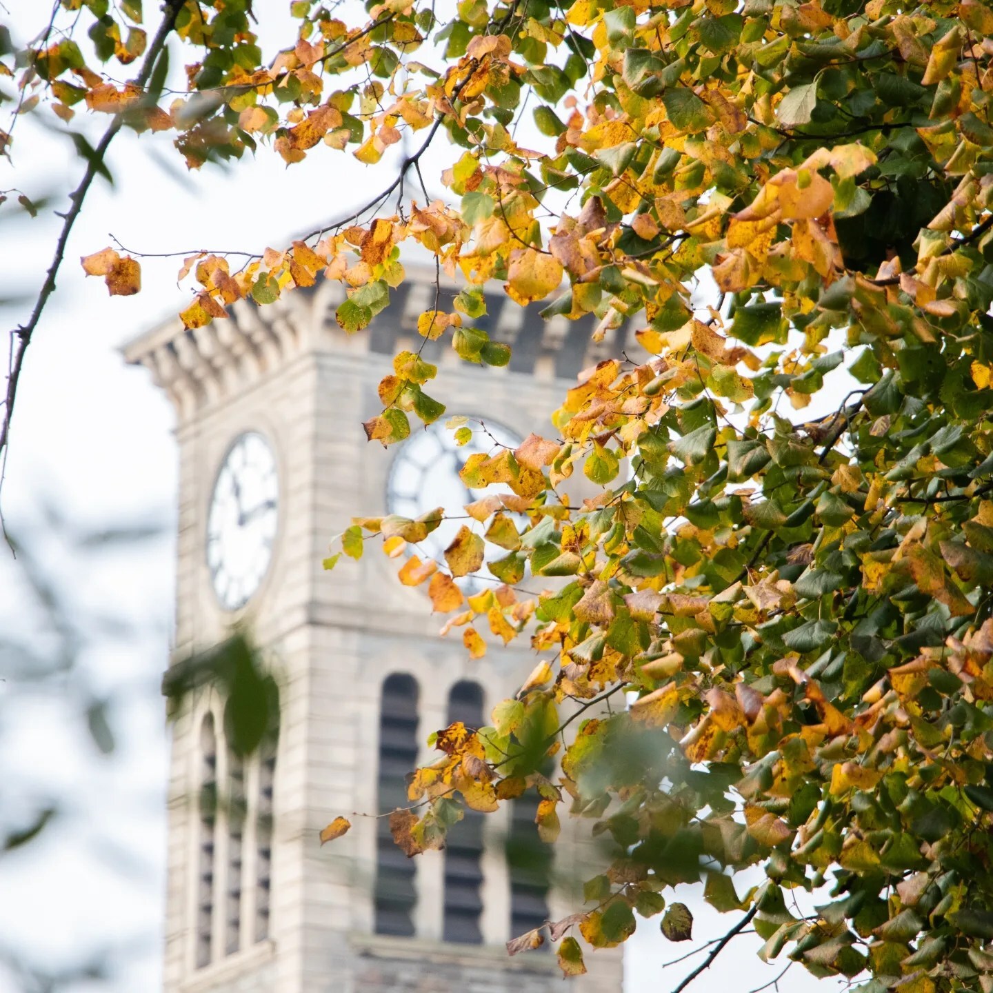 Autumn arrives on campus3